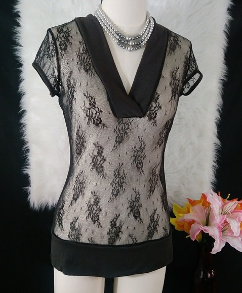 Studio Y Tops - Studio Y Brown Shear Lace V Neck Short Sleeve Top